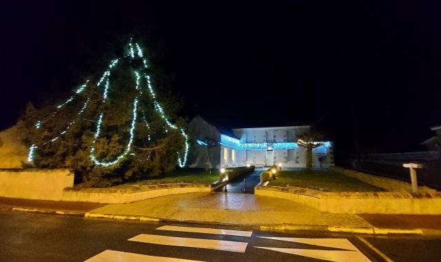 Photo du sapin de la mairie (légende)